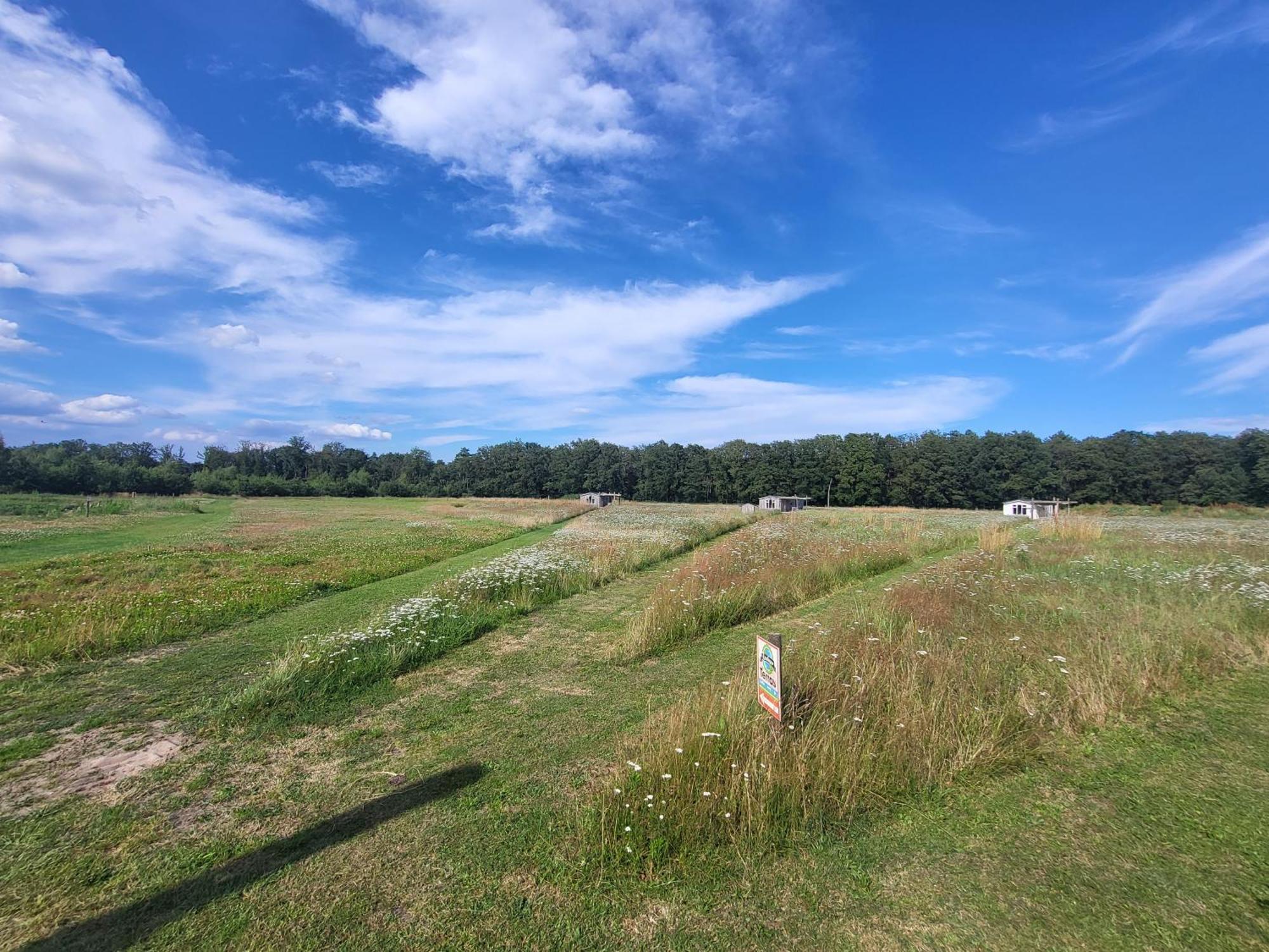 Heythuysen Hoeve Twente - De Buizerdヴィラ エクステリア 写真